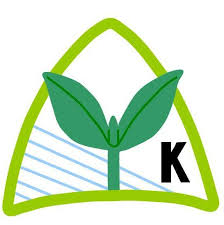 学園圃場直送　季節のお野菜箱（中サイズ）